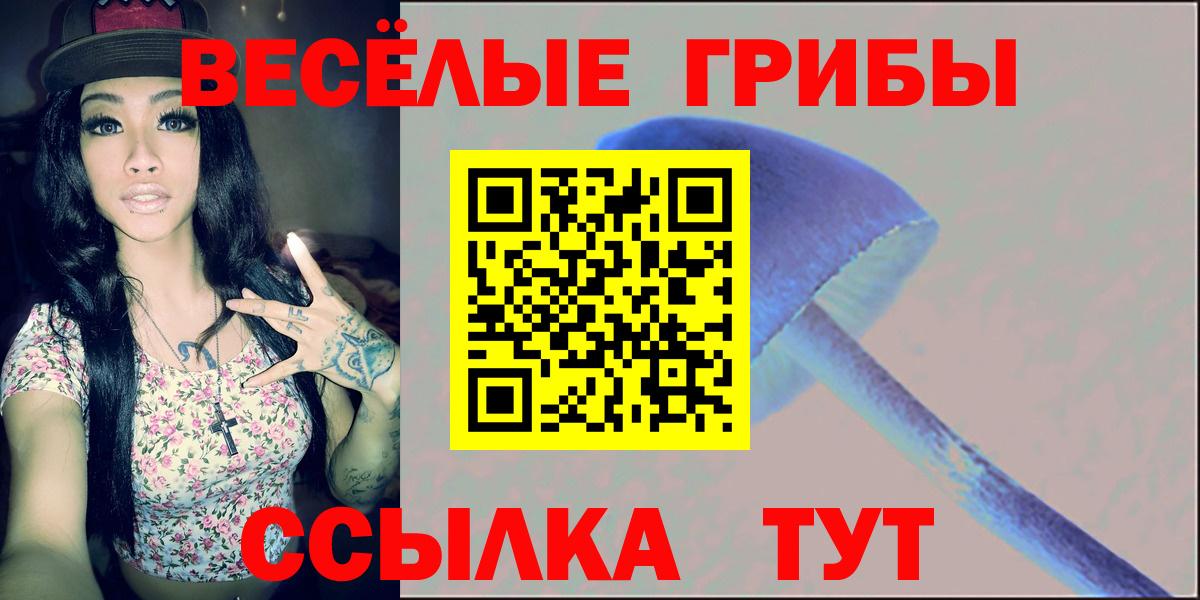 Псилоцибиновые грибы MAGIC MUSHROOMS  Псилоцибиновые грибы Magic Shrooms  Вход с VPN  Дагестанские Огни 