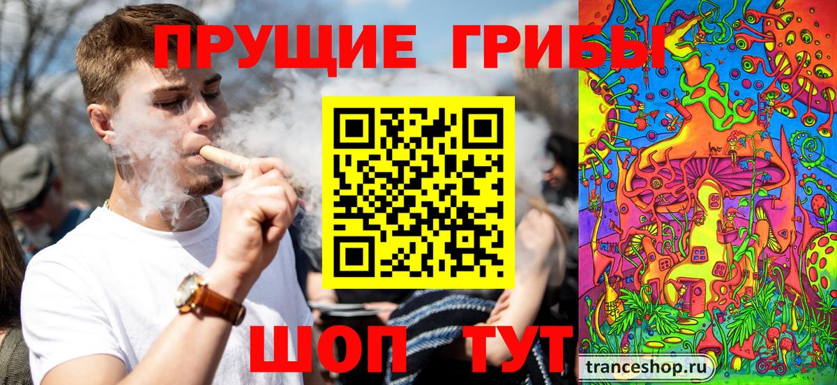 Псилоцибиновые грибы Magic Shrooms Дагестанские Огни